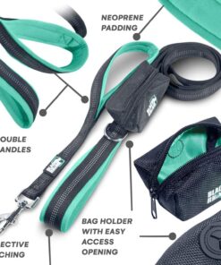 Black Rhino Dog Leash - Heavy Duty - Medium & Large Dogs | 6ft Long Leashes | Two Traffic Padded Comfort Handles for Safety Control Training - Double Handle Reflective Lead - (Aqua) Aqua 28 81Iit1rfioL