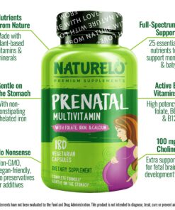 NATURELO Prenatal Multivitamin with Gentle Chelated Iron, Methyl Folate, Plant Calcium & Choline - Vegan, Vegetarian - Non-GMO - Gluten Free - 180 Capsules - 2 Month Supply 180 Count (Pack of 1) 29 81IjJ3HbYdL