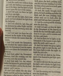 KJV Holy Bible, Giant Print Standard Size Faux Leather Red Letter Edition - Thumb Index & Ribbon Marker, King James Version, Dark Brown 65 81Ijq9GQiAL