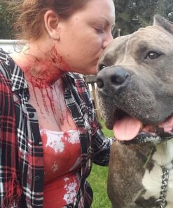 Pint of Blood Standard (16 Fl Oz) 30 81IkaUNcPEL