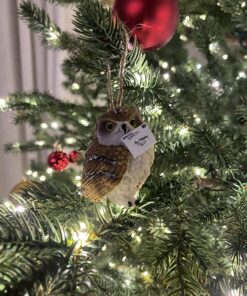 George S. Chen Imports SS-G-54281 Imports Owl Figurines (Set of 4), 2" 27 81Iq3PD2GlL