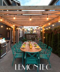 Lemontec Commercial Grade Outdoor String Lights with 15 Hanging Sockets - 48 Ft Black Weatherproof Cord Weatherproof Strand for Patio Garden Porch Backyard Party Deck Yard – S14 Black 29 81IyKucC2XL