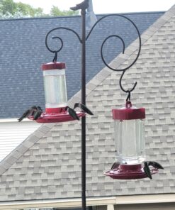 First Nature 3055 32-ounce Hummingbird Feeder 45 81IzCvss0XL