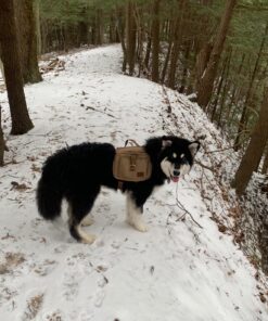 OneTigris Dog Pack Hound Travel Camping Hiking Backpack Saddle Bag Rucksack for Medium & Large Dog (Brown, Large) 11.4"L x 8.7"W x 2.4"H Brown 43 81J2qlKc L