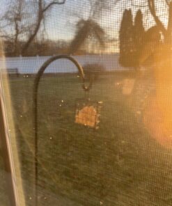 More Birds Suet Cage Bird Feeder, Fruit and Suet Feeder, Single Cake Capacity ,Black Black 39 81J6Yrn3ZJL