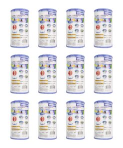 Intex Filter Cartridge Type A (59900E) - Replacement Type A and C For Easy Set Pool Filters - 12 Pack
