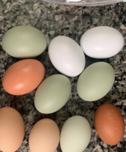 SallyFashion 7 Pcs Wooden Fake Eggs, 3 Colors Wooden Easter Egg Wood Eggs for Crafts Fake Chicken Eggs Nesting Eggs Easter Home Decor 36 81J8FjP54 L