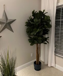 Nearly Natural 6ft Fiddle Leaf Fig Artificial Trees, 72in, Green 72 in 55 81J8yFeeXhL