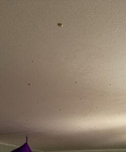 Realistic 3D Domed Glow in The Dark Stars,606 Dots for Starry Sky, Perfect for Kids Bedding Room Gift(606 Stars) (1*Green) 1*Green 51 81J9udcS9AL