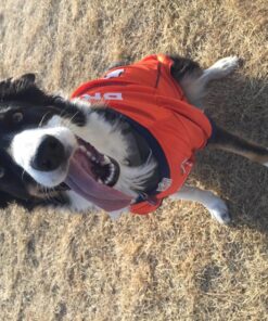 NFL Denver Broncos Dog Jersey, Size: X-Large. Best Football Jersey Costume for Dogs & Cats. Licensed Jersey Shirt 28 81J9w RnHYL