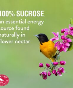 Perky-Pet 4501-6 Ready-to-Use Oriole Food, 1 Liter 9 81JAWIxSFaL