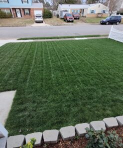 Scotts Turf Builder Weed & Feed3, Weed Killer Plus Lawn Fertilizer, Controls Dandelion and Clover, 15,000 sq. ft., 42.87 lbs. 15,000 sq. ft. Weed and Feed 25 81JAcXFXT1L