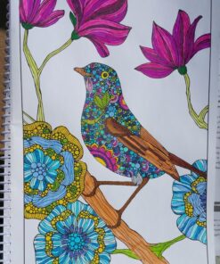 Ultimate Coloring Book Treasury: Relax, Recharge, and Refresh Yourself (Design Originals) 208 Pages of Beautiful One-Side-Only Designs on Extra-Thick, Perforated Paper in a Spiral Lay-Flat Binding 90 81JB7NnrrWL