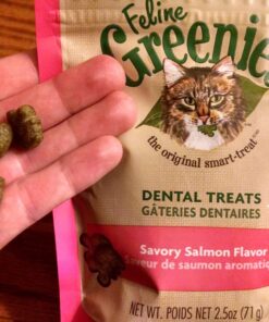 FELINE GREENIES Natural Dental Care Cat Treats Savory Salmon Flavor, 2.1oz. Pouch 24 81JBslnYaRL
