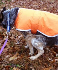 Zack & Zoey Nor'easter Blanket Coat for Dogs, 20" Large, Orange 1 L (Neck: 17", Girth: 28", Back: 20") 32 81JH wbv 1L 3