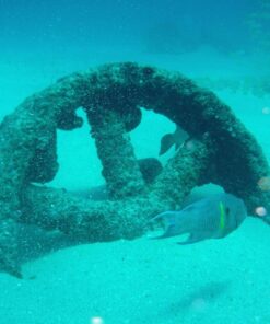 Fujifilm FinePix XP80 Waterproof Digital Camera with 2.7-Inch LCD (Yellow) Yellow 79 81JHyk3vh1L