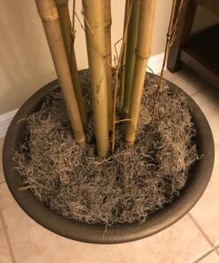 Luster Leaf Spanish Moss-350 Cubic Inches 1220, 350 cuin 350 cuin. 7 81JN1fY3MQL