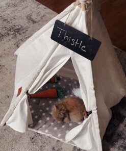 little dove Pet Teepee Dog & Puppy Cat Bed, Portable & Washable Pet Tents, House for Pets Beige Color 24 Inch no Cushion 39 81JN3DDjWRL