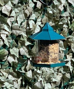 Ogrmar Hanging Gazebo Wild Bird Feeder -Perfect for Garden Decoration and Bird Watching for Bird Lover and Kids (Green) 39 81JOODM1nAL