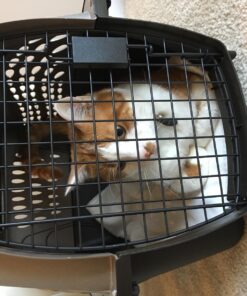 Petmate Two-Door Small Dog Kennel & Cat Kennel (Top Loading or Front Loading Pet Carrier, Made with Recycled Materials, 24 inches in Length) For Pets up to 15 Pounds, Made in USA 24.0"L x 14.5"W x 17.0"H TAN 59 81JQklUianL 1