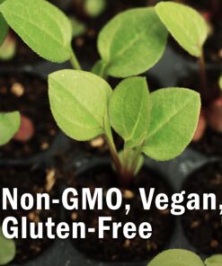 Herb Pharm Osha Root Liquid Extract for Respiratory Support - 1 Ounce 1 Fl Oz (Pack of 1) 9 81JRP1HaK1L