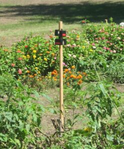 Nite Guard Solar Predator Control Light, (Pack of 4) 9 81JdByKft7L