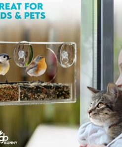 Extra Large Window Bird Feeders for Outside - Clear Bird Feeders for Viewing - Extra Strong Suction Cup Bird Feeder Window - Drainage Holes, Detachable Large Seed Tray, and Rubber Perch for Wild Birds Rectangular 23 81JfPxd3heL