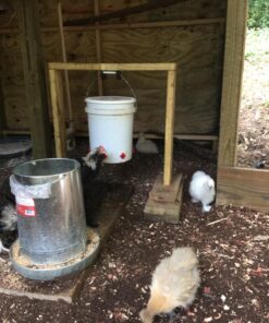 Backyard Barnyard 12 Pack Automatic Chicken Water Nipple Make Your Own Waterer Kit (Install Tools Included) Horizontal Clean Drinker Coop or Poultry Run Bebederos Gallinas Pollos Duck Quail 31 81JgWWTh0L