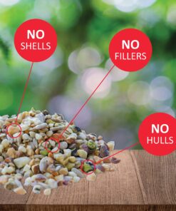 Lyric Fine Tunes Wild Bird Seed - No Waste Bird Food Mix - Attracts Bluebirds, Finches, Chickadees & More - 15 lb. Bag 15.00 Pound (Pack of 1) Seed Mix 25 81JgXB19wIL