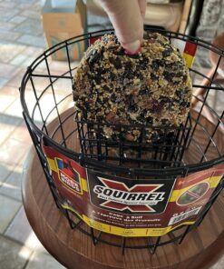 More Birds Squirrel-X Double Suet Feeder, Outdoor Wild Bird Feeder, Cage Bird Feeder, 2 Suet Cake Capacity 21 81JjaMItLzL