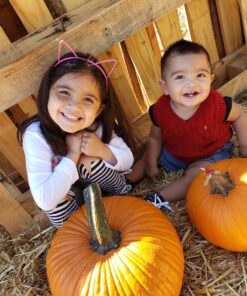 Candygirl Girls Plastic Headbands Cat Ear Headbands for Girls Women Cat Ear Hair Hoops Hair Accessories for Girls and Women Daily Wearing Accessories Party Favor (10pcs mix colors Cat Ear Headbands) 10pcs 40 81JjqivlkL