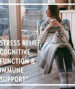 New Chapter Stress Relief Supplement - Holy Basil Force with Supercritical Holy Basil for Stress Support + Immune Support + Non-GMO Ingredients - Vegetarian Capsules, 120 Count 120 Count (Pack of 1) Vegetarian Capsule 10 81JkRLCRy7L