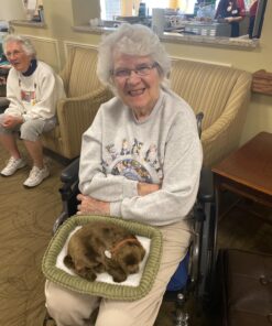 Perfect Petzzz Huggable Breathing Puppy Dog Pet Bed Chocolate Lab 7 81JmQmAUlsL