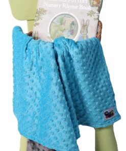 Reversible Unisex Children's Soft Baby Blanket Minky Dot (Turquoise/Grey) Turquoise/Grey 15 81JnJ7bV37L