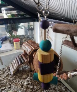 Kaytee Perfect Chew Hamster 16 81Jr9pbvjL