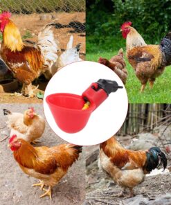 MOTOKU Poultry Quail Chicken Hen Duck Automatic Water Drinking Cups Waterer Drinker with Nuts 30 Pack 17 81JrkvSgKL