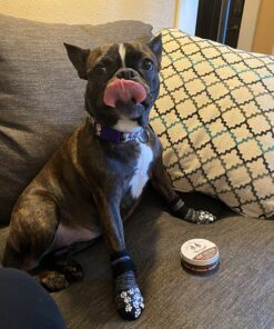 Natural Dog Company Paw Soother Balm, 2 oz. Tin, Dog Paw Cream and Lotion, Moisturizes & Soothes Irritated Paws & Elbows, Protects from Cracks & Wounds 2oz Tin 42 81JtU5dtAXL