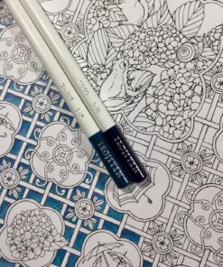 Mori ga kanaderu rhapsody. Rhapsody in the forest.(Coloring Book Japan Edition) 40 81JwKIAJB8L