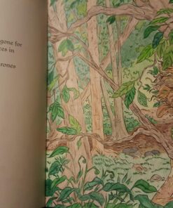 The Official A Game of Thrones Coloring Book: An Adult Coloring Book (A Song of Ice and Fire) 33 81JzBXA87bL 1