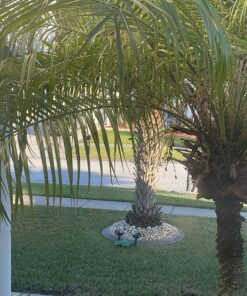 SOCKiTBOX – The Original Weatherproof Connection Box – Indoor & Outdoor Electrical Power Cord Enclosure for Timers, Extension Cables, Holiday Lights, Power Tools, Fountains & More – Size Small – Green 42 81K h5e5 TL