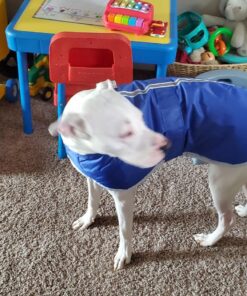 Zack & Zoey Nor'Easter Blanket Coat, Large, Blue 1 Dark Blue 31 81K1A08yMjL 2