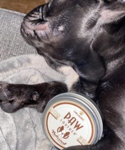 Natural Dog Company Paw Soother Balm, 2 oz. Tin, Dog Paw Cream and Lotion, Moisturizes & Soothes Irritated Paws & Elbows, Protects from Cracks & Wounds 2oz Tin 46 81K2Q4J8oSL