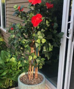 Nearly Natural 4’ Hibiscus Artificial Tree, 4ft, Green 37 81K2hmu7TdL