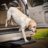 Otto Step Pet Ramp Step Helps Dogs Get in & Out of Car Van SUV | Portable Lightweight Dog Ramp | Simply Slide into 2 inch Trailer Hitch Receiver | No Tools Needed | Essential Pet Gear | Made in USA 34 81K6c EhAL