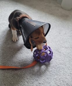 JW Pet Hol-ee Roller Dog Toy Puzzle Ball, Natural Rubber, Medium (4.5 Inch Diameter), Colors May Vary 25 81K8qmhQmrL