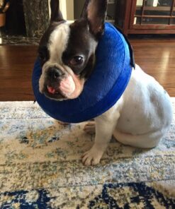 KONG - Cloud Collar - Plush, Inflatable E-Collar - For Injuries, Rashes and Post Surgery Recovery - For Medium Dogs/Cats Standard Packaging 34 81KAAIBLzSL