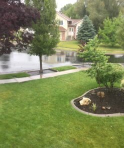 Ashman Galvanized Garden Stakes Landscape Staples and Fence Stake (150 Garden Staples - Heavy Duty & Anti Rust Galvanized) 150 6 Inch 11 Guage 31 81KDU3exWhL