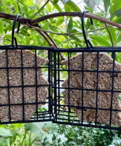 More Birds Suet Cage Bird Feeder, Fruit and Suet Feeder, Single Cake Capacity ,Black Black 31 81KE9l8JJfL