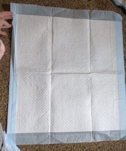 Amazon Basics Dog and Puppy Pee Pads with Leak-Proof Quick-Dry Design for Potty Training, Standard Absorbency, Regular Size, 22 x 22 Inches, Pack of 100, Blue & White Unscented Regular (100 Count) 35 81KEIa 5ciL 4