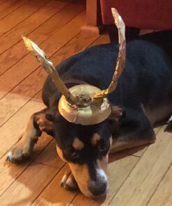 Dixie Ultra Disposable Paper Bowls, 20oz, Dinner or Lunch Size Printed Disposable Bowls, Packaging and Design May Vary, 26 Count (Pack of 6) White 38 81KH0rTy6cL